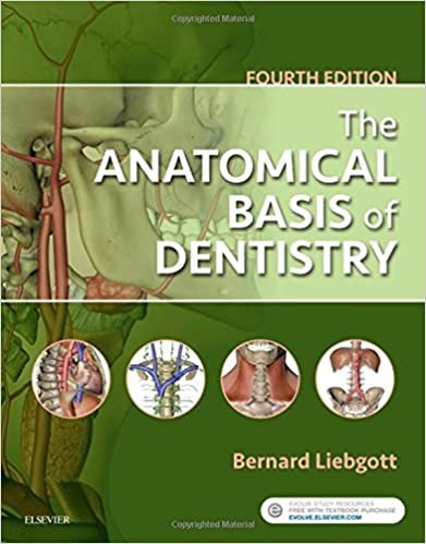 The Anatomical Basis Of Dentistry 5th edition