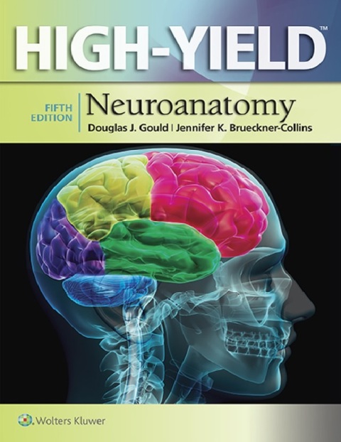 High-Yield™ Neuroanatomy (High-Yield Series) Fifth Edition.