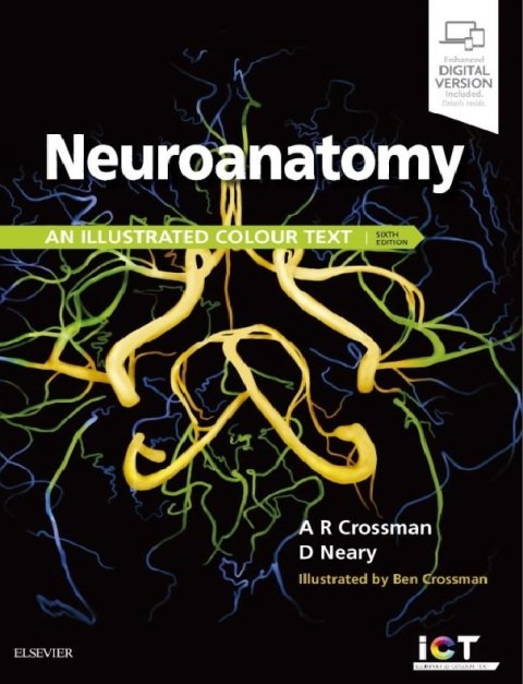 Neuroanatomy an Illustrated Colour Text 6th Edition.
