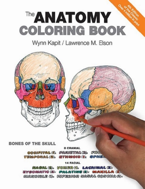 The Anatomy Coloring Book 4th Edition.