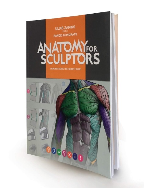 Anatomy for Sculptors Understanding the Human Figure.