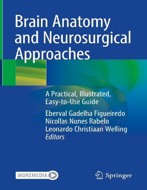 Brain Anatomy and Neurosurgical Approaches A Practical, Illustrated, Easy-to-Use Guide.