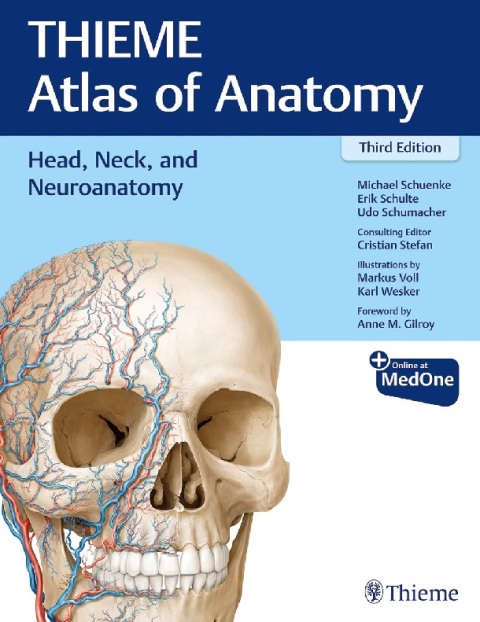 Head, Neck, and Neuroanatomy (THIEME Atlas of Anatomy) (THIEME Atlas of Anatomy, 3).