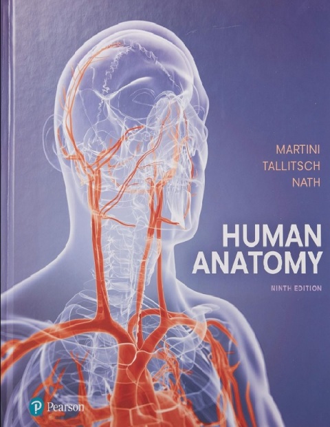 Human Anatomy.