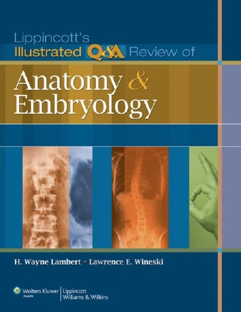 Lippincott's Illustrated Q&A Review of Anatomy and Embryology (Lippincott Illustrated Reviews Series).