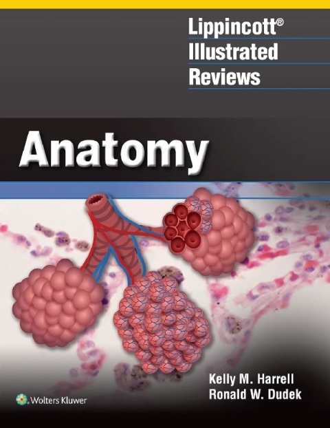Lippincott® Illustrated Reviews Anatomy (Lippincott Illustrated Reviews Series).