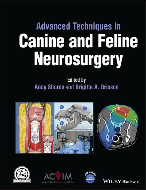 Advanced Techniques in Canine and Feline Neurosurgery.